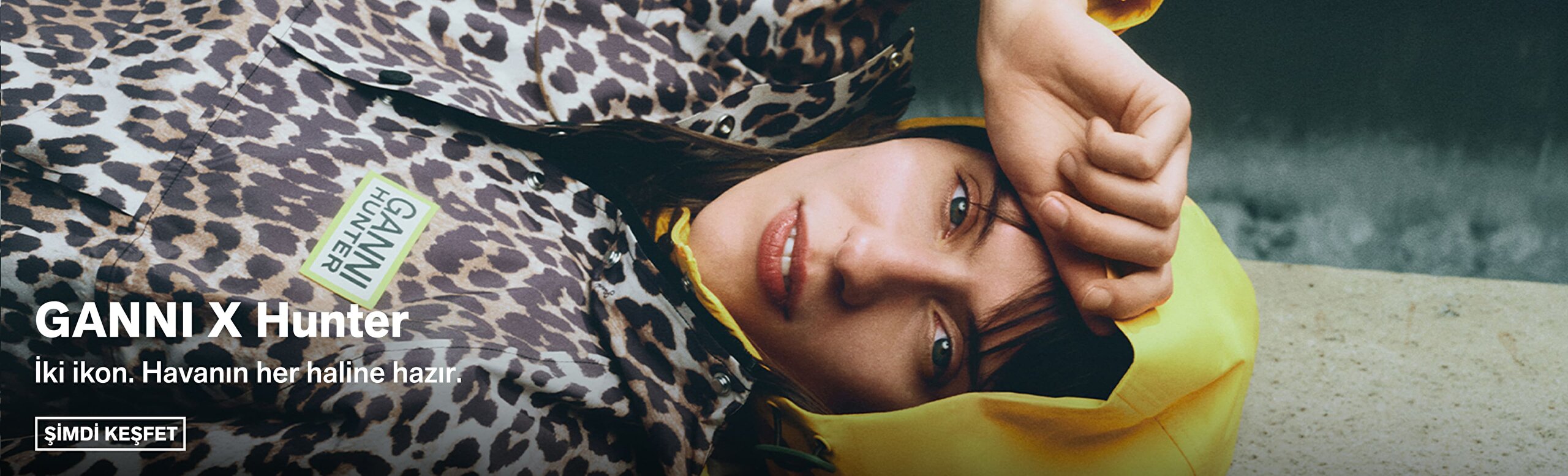 Picture Banner